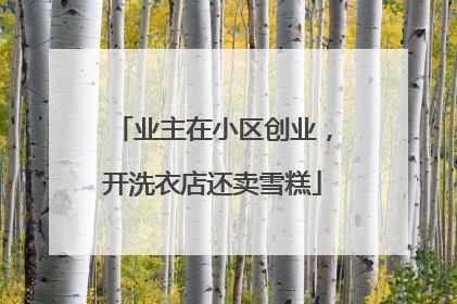 业主在小区创业，开洗衣店还卖雪糕