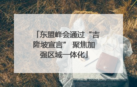 东盟峰会通过“吉隆坡宣言” 聚焦加强区域一体化