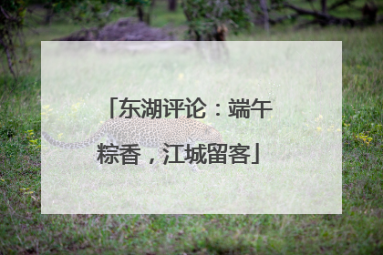 东湖评论：端午粽香，江城留客