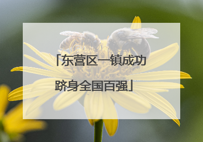 东营区一镇成功跻身全国百强