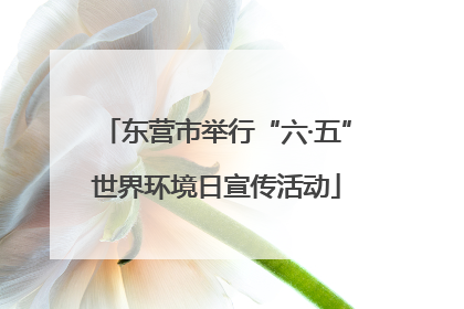 东营市举行“六·五”世界环境日宣传活动