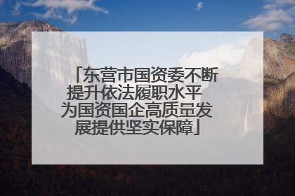东营市国资委不断提升依法履职水平 为国资国企高质量发展提供坚实保障