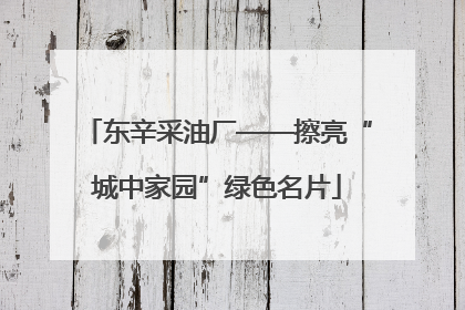 东辛采油厂——擦亮“城中家园”绿色名片