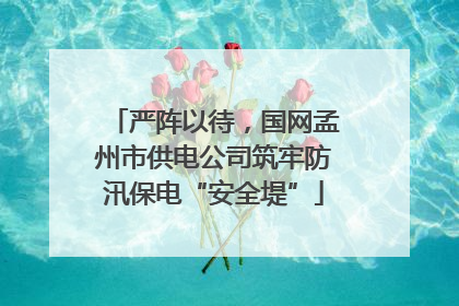 严阵以待，国网孟州市供电公司筑牢防汛保电“安全堤”