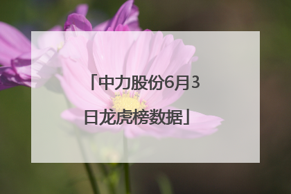 中力股份6月3日龙虎榜数据