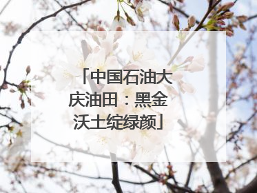 中国石油大庆油田：黑金沃土绽绿颜
