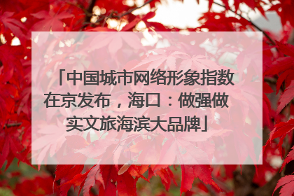 中国城市网络形象指数在京发布，海口：做强做实文旅海滨大品牌