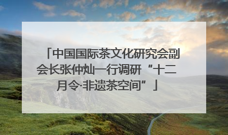 中国国际茶文化研究会副会长张仲灿一行调研“十二月令·非遗茶空间”