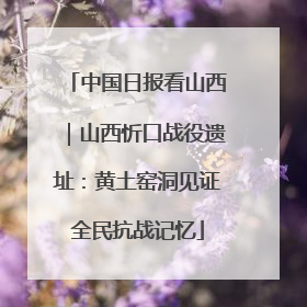 中国日报看山西｜山西忻口战役遗址：黄土窑洞见证全民抗战记忆