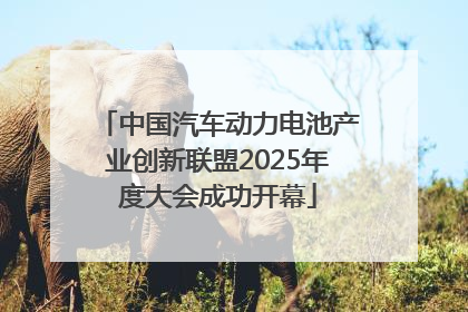 中国汽车动力电池产业创新联盟2025年度大会成功开幕