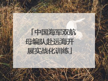 中国海军双航母编队赴远海开展实战化训练