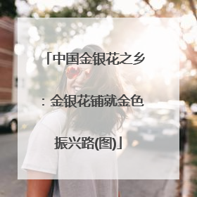 中国金银花之乡：金银花铺就金色振兴路(图)