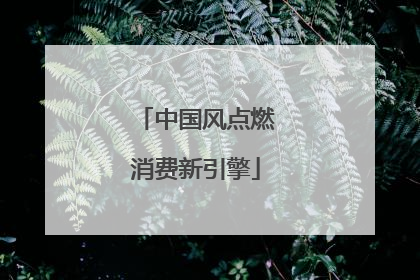 中国风点燃消费新引擎