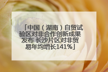 中国（湖南）自贸试验区对非合作创新成果发布 长沙片区对非贸易年均增长141%