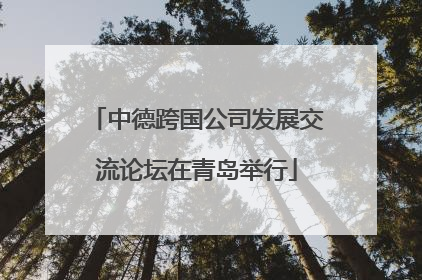 中德跨国公司发展交流论坛在青岛举行