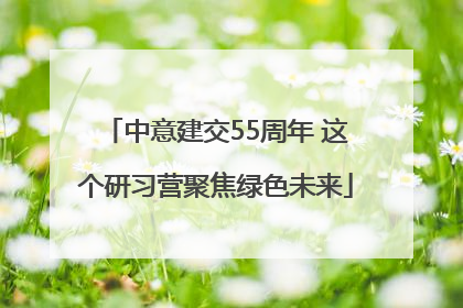 中意建交55周年 这个研习营聚焦绿色未来