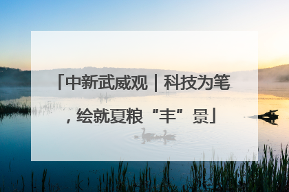 中新武威观｜科技为笔，绘就夏粮“丰”景
