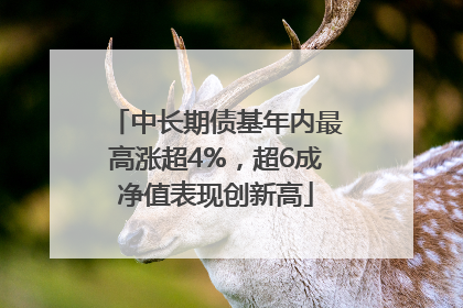 中长期债基年内最高涨超4%，超6成净值表现创新高