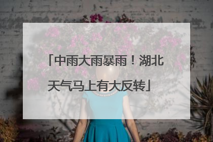 中雨大雨暴雨！湖北天气马上有大反转