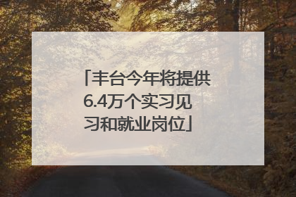 丰台今年将提供6.4万个实习见习和就业岗位