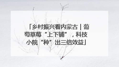 乡村振兴看内蒙古｜葡萄草莓“上下铺”，科技小院“种”出三倍效益