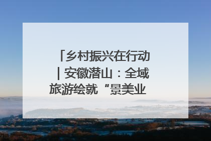 乡村振兴在行动｜安徽潜山：全域旅游绘就“景美业兴民富”新画卷