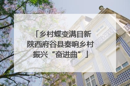 乡村蝶变满目新 陕西府谷县奏响乡村振兴“奋进曲”