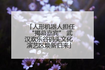 人形机器人担任“揭幕嘉宾” 武汉欢乐谷码头文化演艺区焕新归来