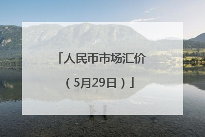 人民币市场汇价（5月29日）