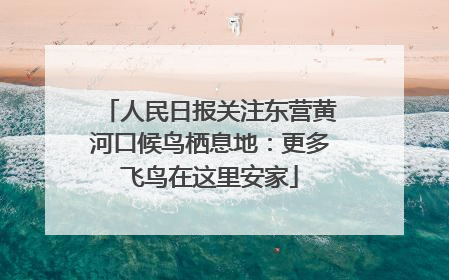 人民日报关注东营黄河口候鸟栖息地：更多飞鸟在这里安家