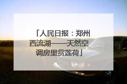 人民日报：郑州西流湖——天然空调房里赏莲荷