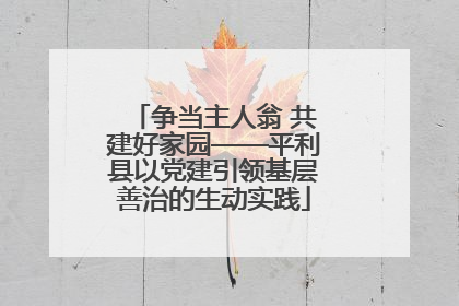 争当主人翁 共建好家园——平利县以党建引领基层善治的生动实践