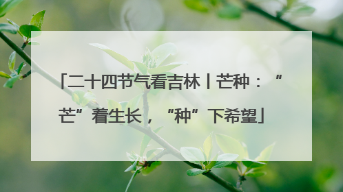二十四节气看吉林丨芒种：“芒”着生长，“种”下希望