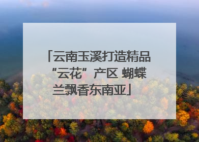 云南玉溪打造精品“云花”产区 蝴蝶兰飘香东南亚