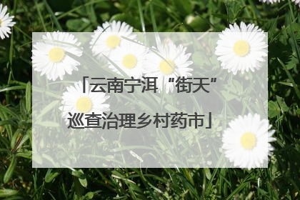 云南宁洱“街天”巡查治理乡村药市