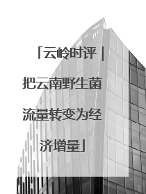 云岭时评｜把云南野生菌流量转变为经济增量