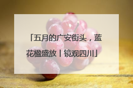 五月的广安街头，蓝花楹盛放丨镜观四川