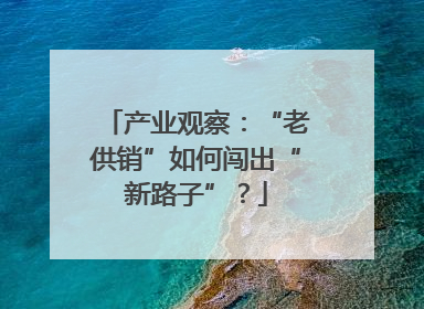 产业观察：“老供销”如何闯出“新路子”？