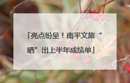 亮点纷呈！南平文旅“晒”出上半年成绩单