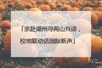 亲赴湖州寻两山真谛，校地联动话国际新声