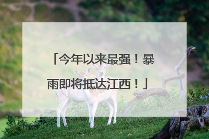 今年以来最强！暴雨即将抵达江西！