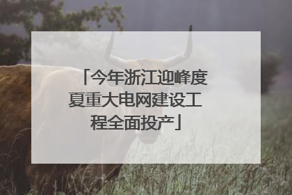 今年浙江迎峰度夏重大电网建设工程全面投产