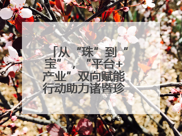 从“珠”到“宝”，“平台+产业”双向赋能行动助力诸暨珍珠升级蜕变
