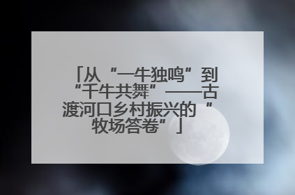从“一牛独鸣”到“千牛共舞”——古渡河口乡村振兴的“牧场答卷”
