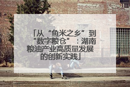 从“鱼米之乡”到“数字粮仓”：湖南粮油产业高质量发展的创新实践