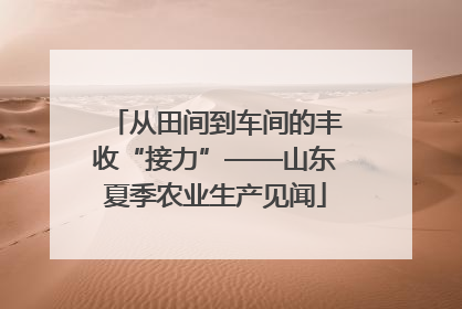从田间到车间的丰收“接力”——山东夏季农业生产见闻