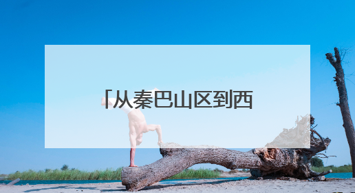 从秦巴山区到西子湖畔：“安康富硒茶”组团拓展长三角市场