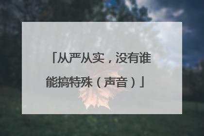 从严从实，没有谁能搞特殊（声音）