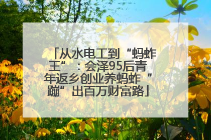从水电工到“蚂蚱王”：会泽95后青年返乡创业养蚂蚱“蹦”出百万财富路
