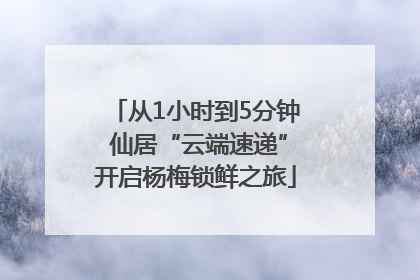 从1小时到5分钟 仙居“云端速递”开启杨梅锁鲜之旅